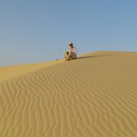 Yasemin Türkarslan's Photo