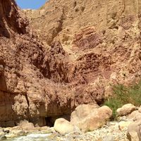 Odeh Sawalha's Photo