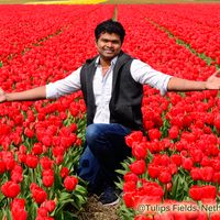 Fotos von Berin Bala Chandar