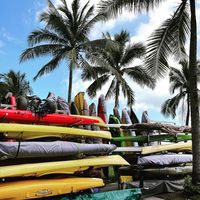 Christine  Chou's Photo