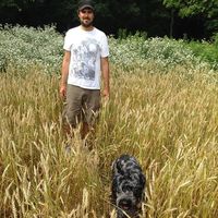 Andrew Liorti的照片