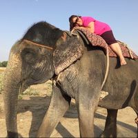 Madeline Ortiz's Photo