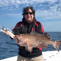 Daniel Carter的照片