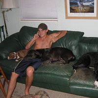 Corey Sullivan's Photo