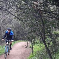 Cristian V Ricci的照片