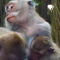 Elke Margaretta's Photo