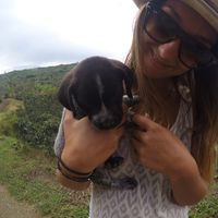 Hanna Wahlberg的照片