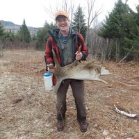 Tim Lancaster的照片