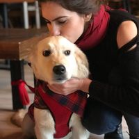 Emel  Tarman's Photo