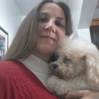 Fotos de Luciana Pereira