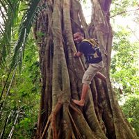 Zdjęcia użytkownika jimbo Corte