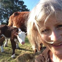 Sarah  Walsh的照片