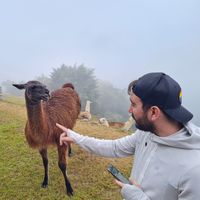 César Pacho Rodríguez's Photo