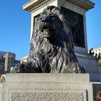 Joshua De Almeida's Photo