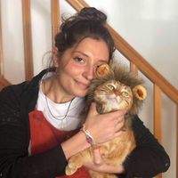 Lauryn Channelière的照片