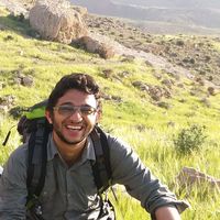 mehrdad mard的照片