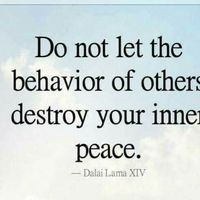 Photos de Rania Wageeh