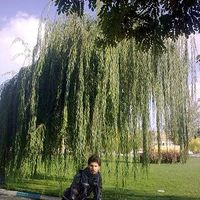 farhad valizadeh's Photo