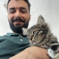 çağlar hişmi的照片