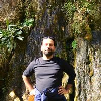 Masoud Hosseini's Photo