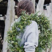 Vesna Nehrya的照片