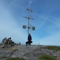 Fotos von Simona Roth