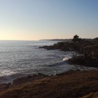 Marie-Laure FERRE's Photo