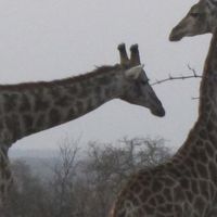 Vitor Sampaio's Photo