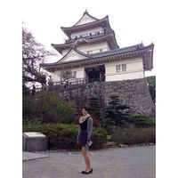 Фотографии пользователя Momo Saito