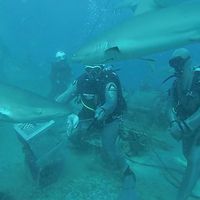 Photos de Michael Hayne