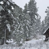 Aleksey Babaev's Photo