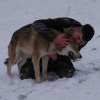 Фотографии пользователя Vincent Courtoi