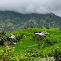 Photos de Bùi Quyết