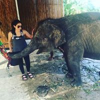 Fotos von Nadia Zamani