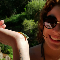 Catarina Noronha的照片