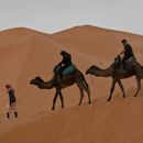 3 Days Tour From Marrakech To MERZOUGA Desert's picture