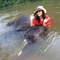 Diane Santos的照片