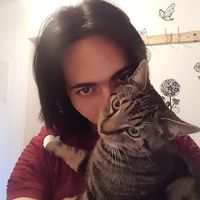 Basel Awwad的照片