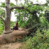 Johanna Karoliina的照片