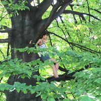 Fotos von Ruiting Zhang