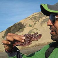 Le foto di Puneet Saha