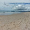 Praia do moçambique's picture