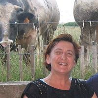 Gerd Rombouts的照片