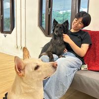 SHAO YUN CHANG的照片