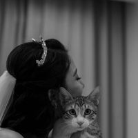 Fatima Rezagholi's Photo