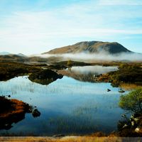 Elise Teichmann的照片