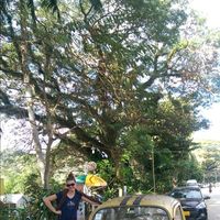 Le foto di Céline Gicquaire