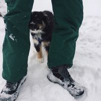 Dan Murnane的照片