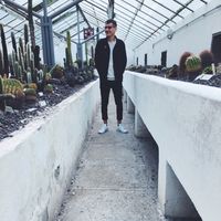 Фотографии пользователя Ruben de Zeeuw