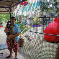 Frank Franco的照片